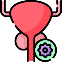 Prostate Health