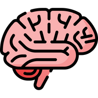 Brain Support