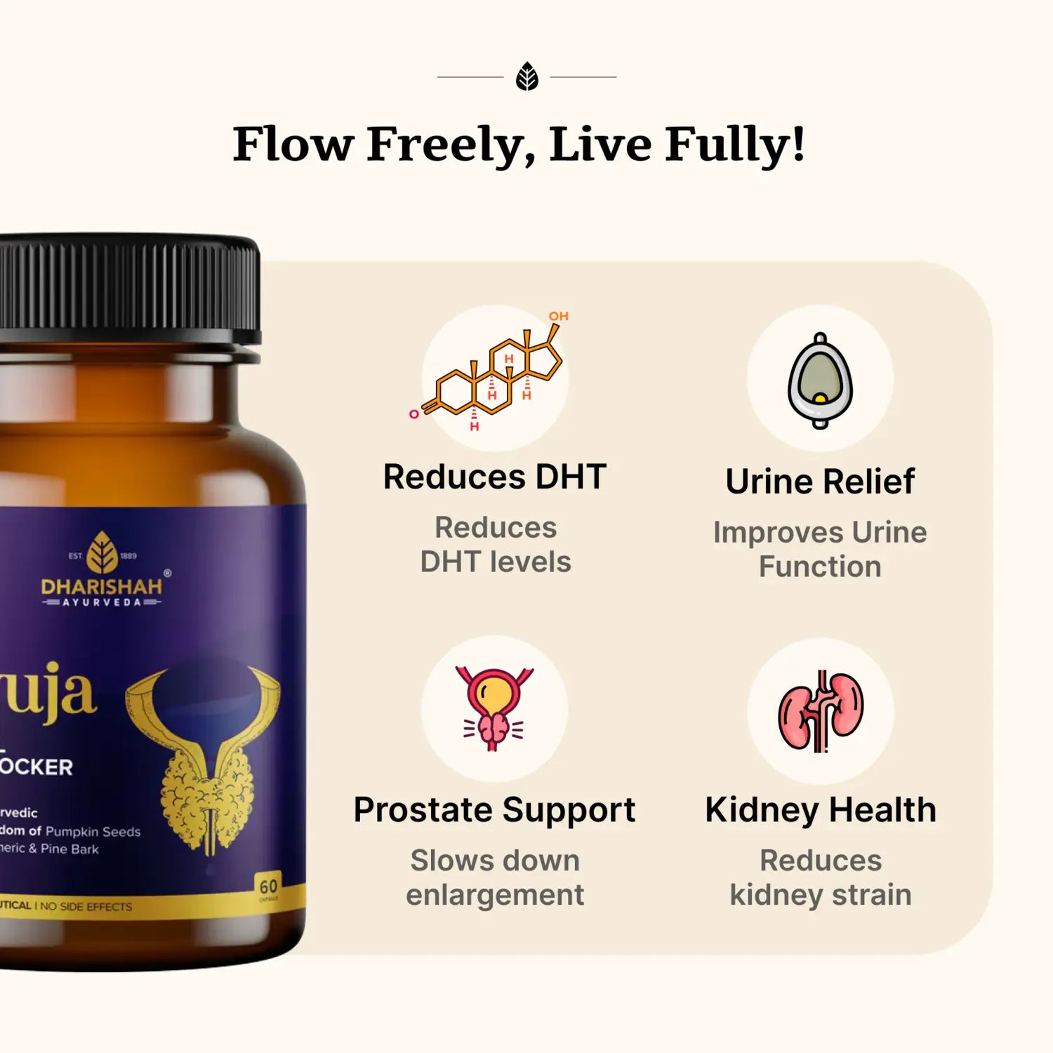 Ayuja herbal supplement – natural Ayurvedic solution with pumpkin seeds, turmeric, and pine bark for prostate health