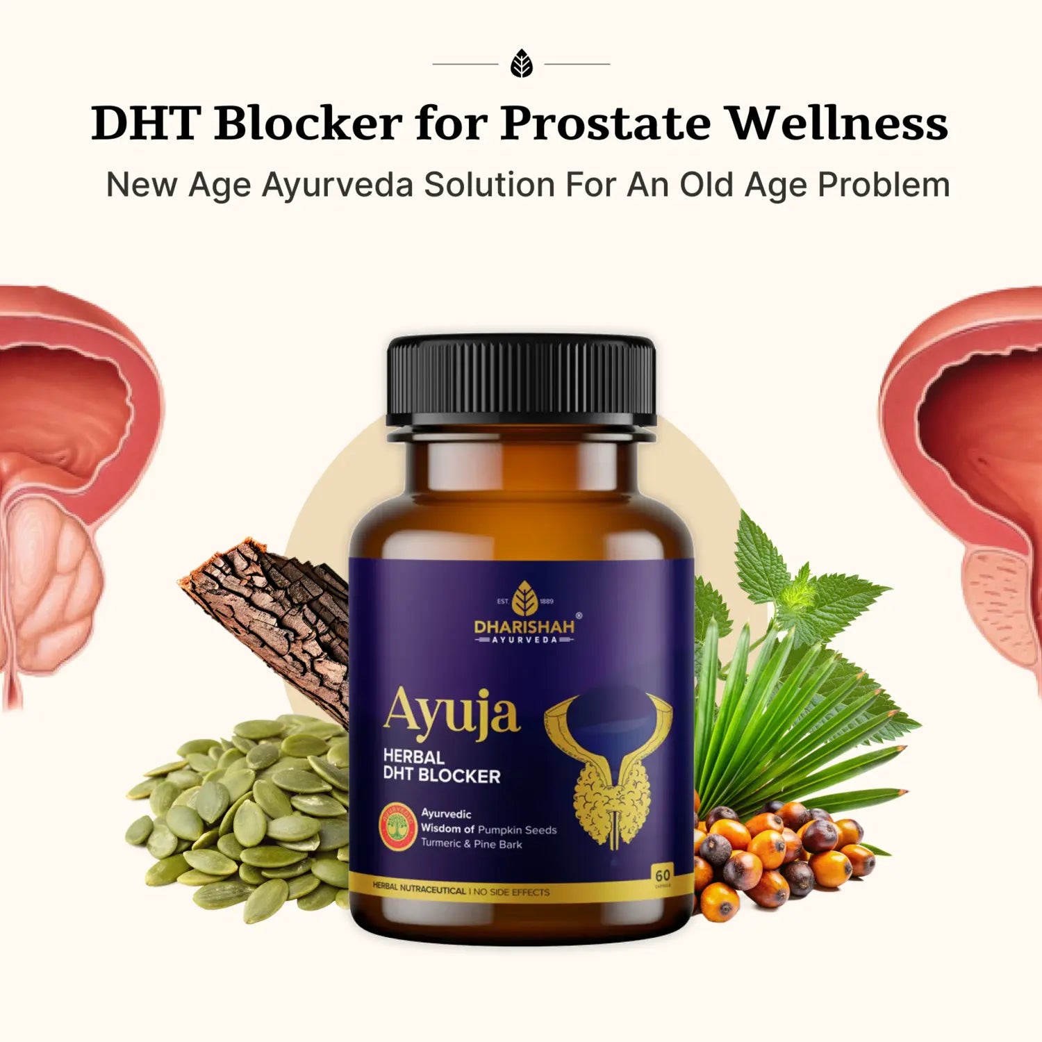 Dharishah Ayurveda Ayuja capsules – Ayurvedic herbal DHT blocker for prostate wellness