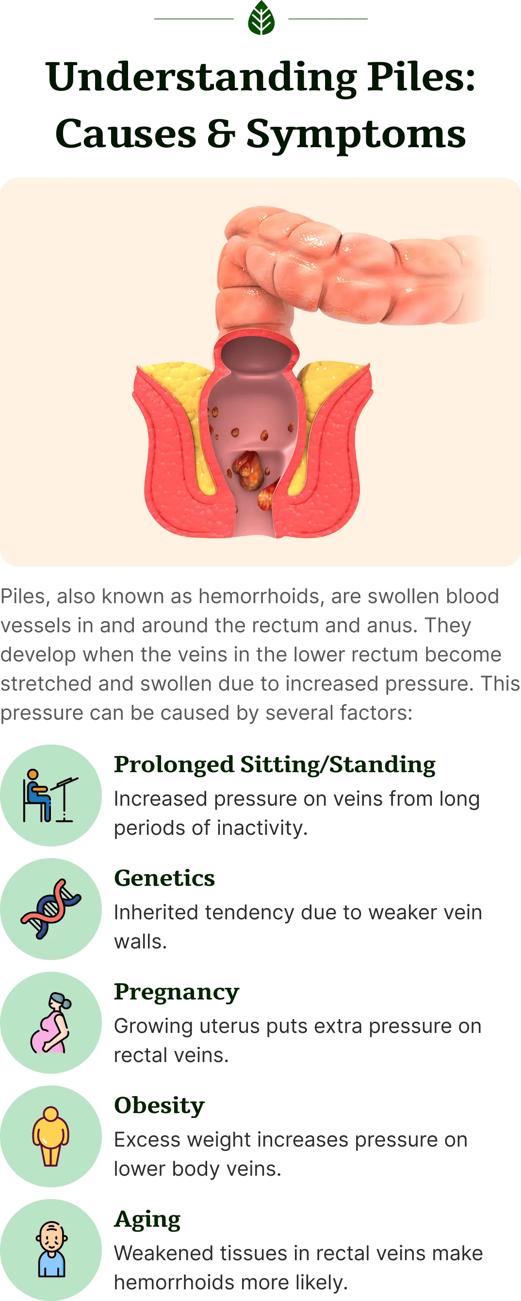 Mobile Banner