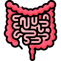 Digestion Support